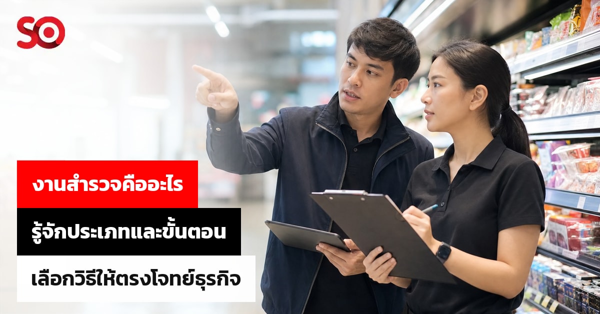 งานสำรวจคืออะไร